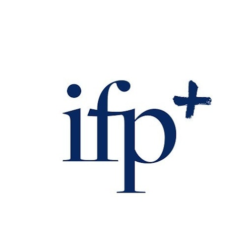 SAP Inhouse Consultant / Business Application Manager bei ifp ...